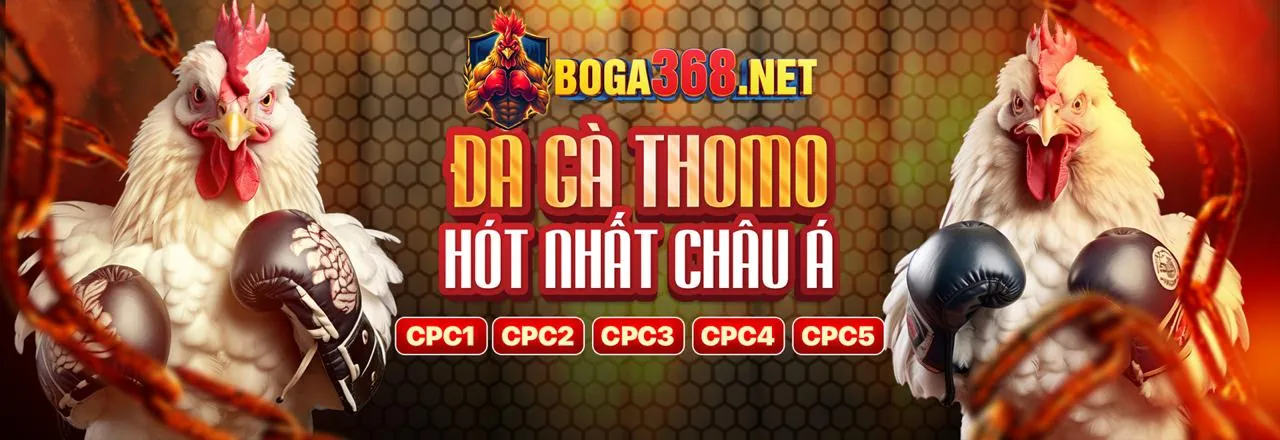 Đá gà trực tuyến WE88